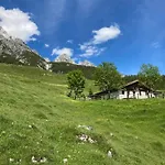 Hirschenwald *