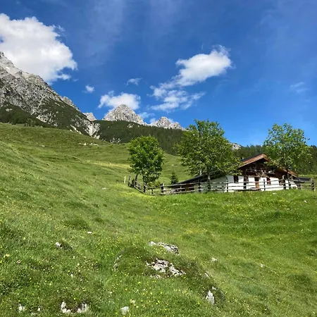 Hirschenwald *