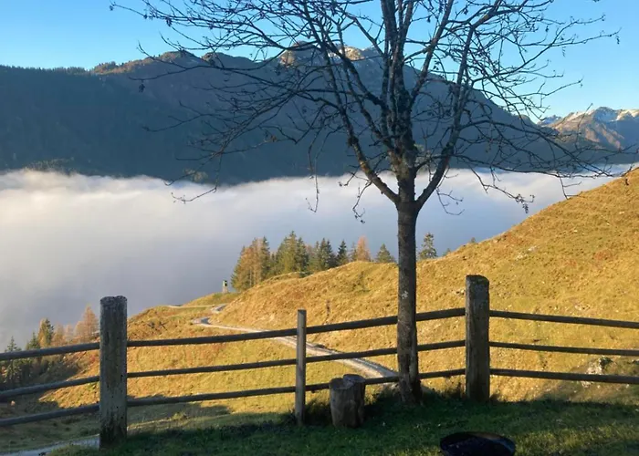 Hirschenwald * ليوغانغ